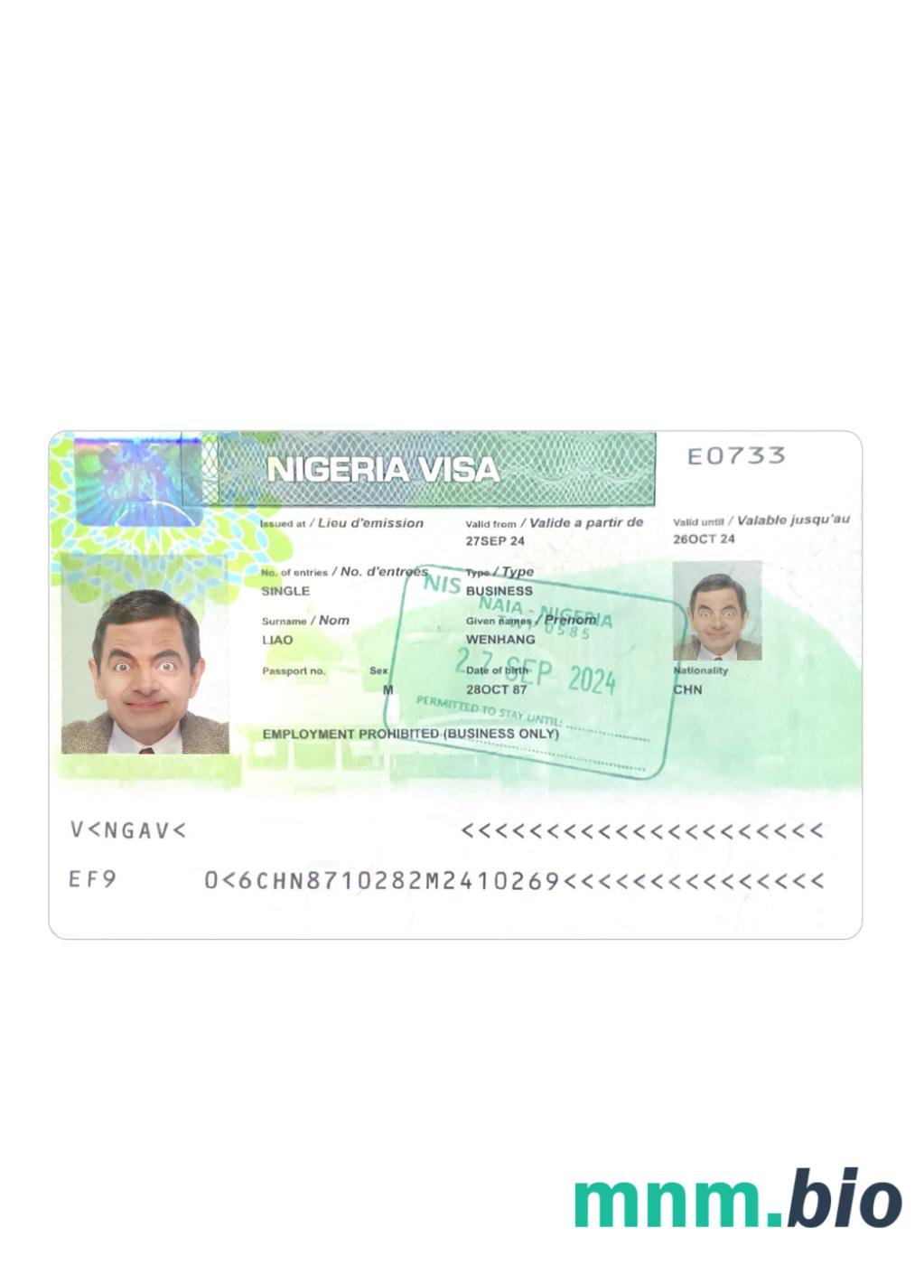 Wiza do Nigerii 2024-obecnie